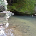 Chimney Top Creek - Koomer Ridge Trail - 1